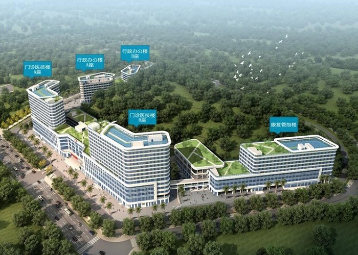 悟空网页版入口